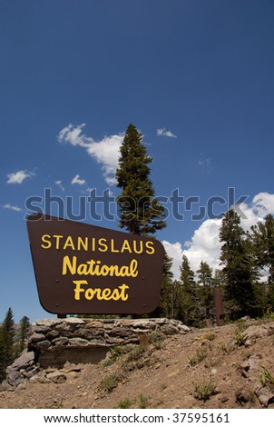 Forest boundary line, Stanislaus National Forest, Sierra Nevada, California.