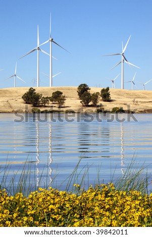 White power generating windmills under blue sky over agricultural land, yellow flowers, reeds, and reflected in the Sacramento River.