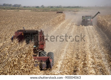 Combine harvesting corn, San Joaquin Delta, California.