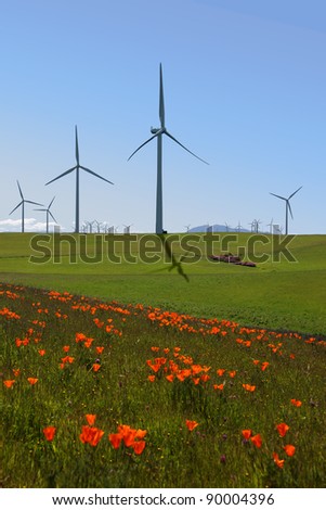Power generating windmills, electrical turbines behind green pastures and California Poppies.