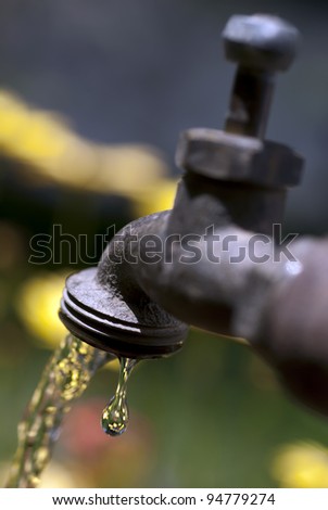 Garden faucet, water tap, running and dripping water with refraction of yellow flowers in water drop.
