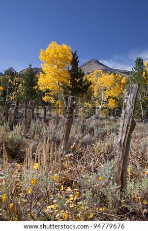 Mountains, aspens, fence posts, Hope Valley, Fall, Eastern Sierra Nevada, California