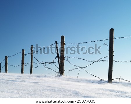 Barbed wire fence in winter