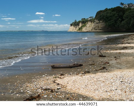 Long Bay beach, North Shore, Auckland, New Zealand