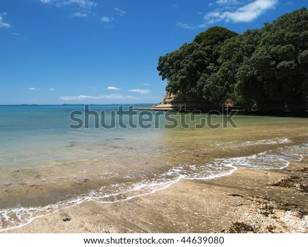 Long Bay beach, North Shore, Auckland, New Zealand