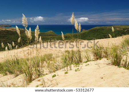Te Werahi beach and sand dunes, Far North, New Zealand