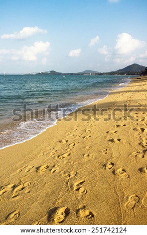 footprints on the gold sand background. summer ocean