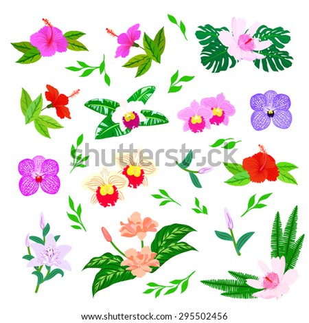 Vector set of graphic elements with exotic flowers  and leaves inspired by tropical nature, herbs and plants like ferns in multiple green colors, red hibiscus flowers and pink orchids