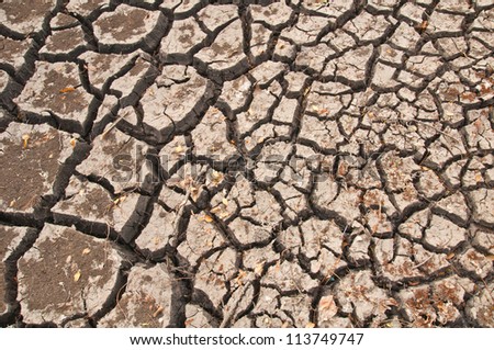 Cracks were caused by the drought.