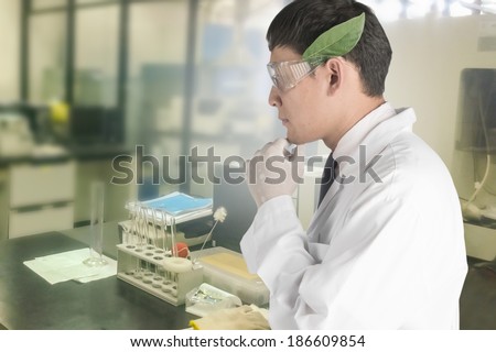 Scientists interested in the leaves in the laboratory.