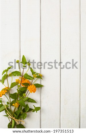 ch of yellow flowers on a whit wooden background