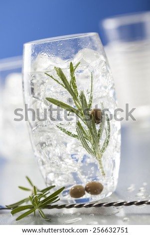 Gin tonic with rosemary