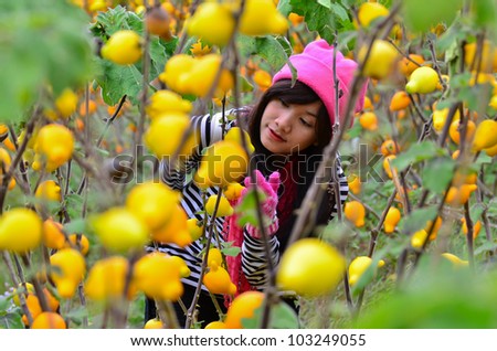 Asian girl looking at the yellow fruit field