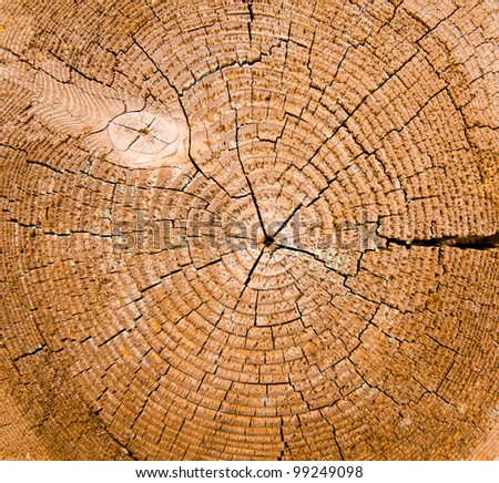 Wood core structure background