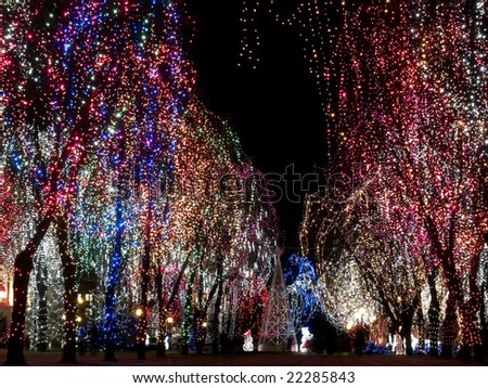 christmas decorations outdoor. stock photo : Christmas decorations outdoors - lights on trees night