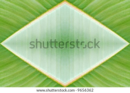 Abstract green diamond background - created from photo of leaf