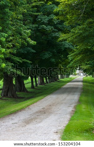 long gravel lane way disappears into the lush green trees. In Southwestern Ontario summer
