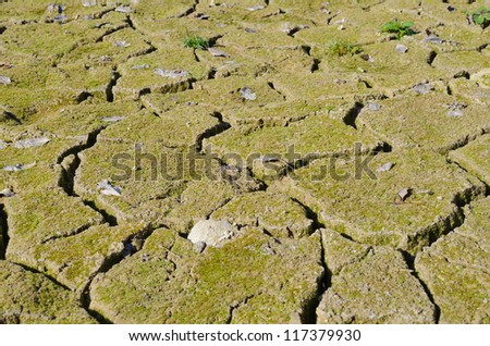 Texture of dry ground