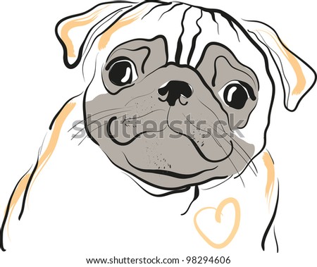 Pug Vector