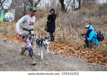 Kharkov, UKRAINE - November 15, 2014: Roman Golovko at canicross heats during Men\'s 3100 m at Sled dogs dry land race Autumn Cup - 2014