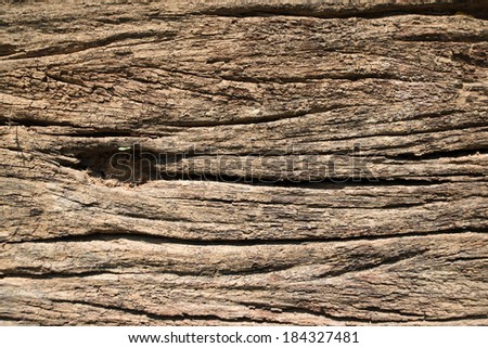 rotting wood texture.