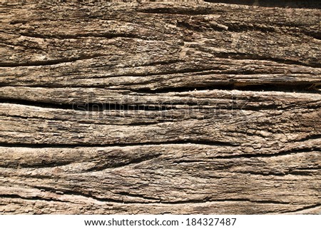 Rotting wood texture.