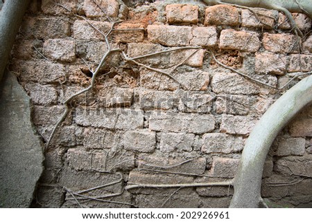 Old brick art for background