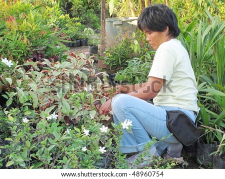 A lady take care the plants in the garden