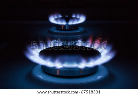Blue flames of a burning natural gas. Gas cooker in action.