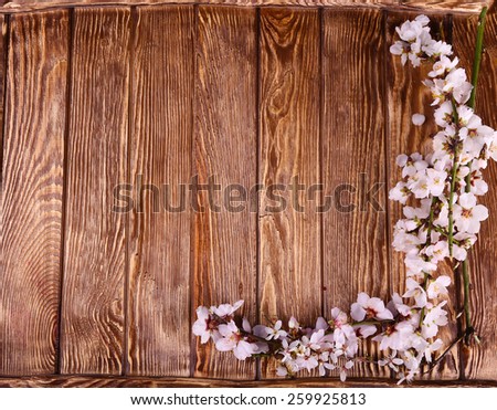Spring blossom on wood background top view, Slate background., free space
