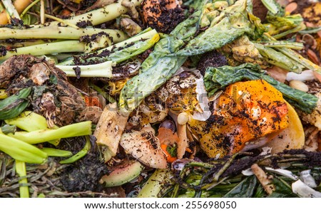 Pile of organic waste background