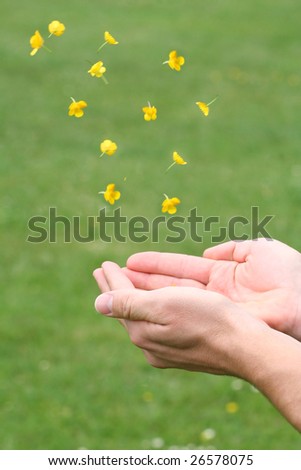 Hands catching falling blossoms symbolize to live in close touch with nature