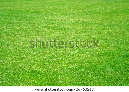 A fresh mowed lawn. Useful as background texture.