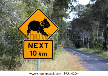 Road sign warning about crossing koalas. Typical road sign in Eastern Australia
