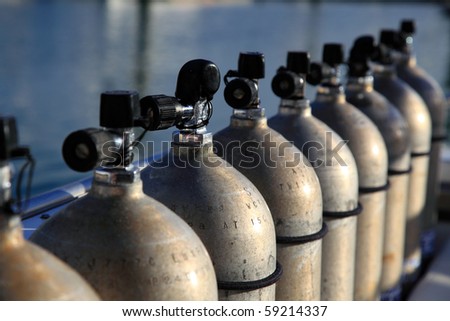 Row of compressed air tanks like they are used during a diving trip.