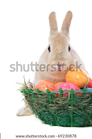 cute easter bunny pictures to color. Cute little easter bunny