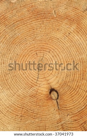 Growth rings