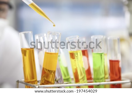 the lab or laboratory test tubes with colorful liquid