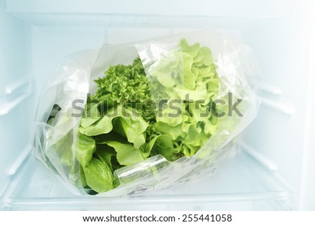 vegetables in the fridge