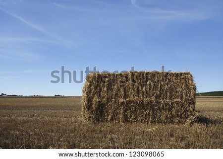 Square hay bale on a golden field in summer time
