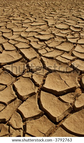 Cracked sand soil, waterless dirt on a deserted ground