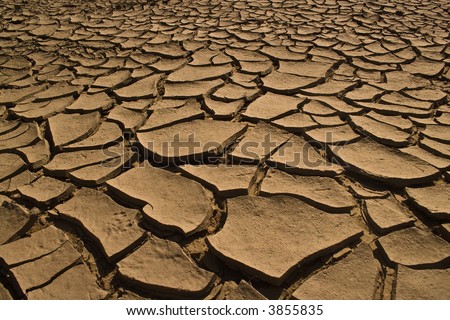 Cracked sand soil, waterless dirt on a deserted ground