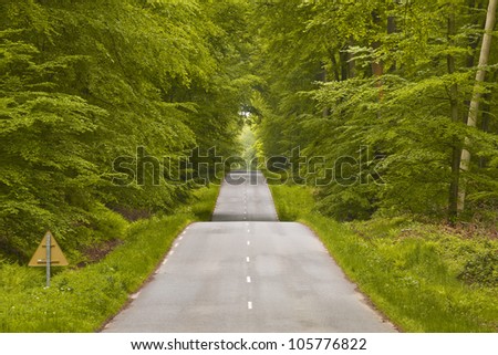 The winding road and dense woodland that leads to Lyons-la-Foret.