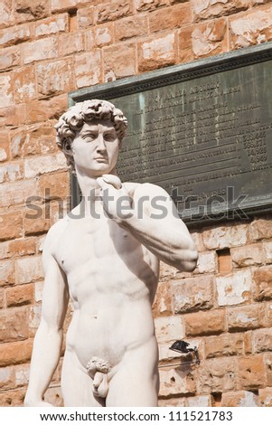 A copy of the original statue of David on the Piazza della Signoria in Florence, Italy