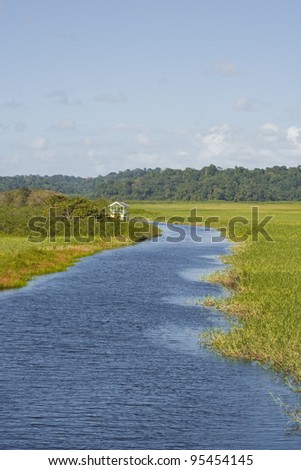 Looking down the waters and marshes of the marais de kaw in French Guyana.