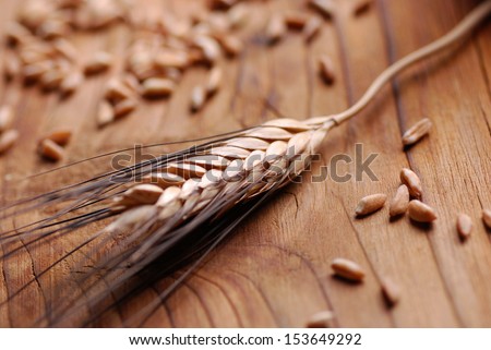 ear of wheat on the wooden table