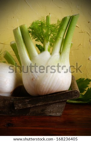 fresh fennel on wooden tray