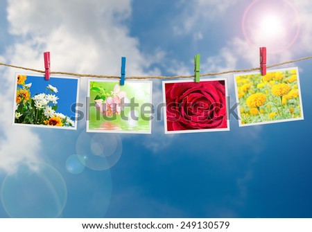 Flowers photo hanging on clothesline on sky background.