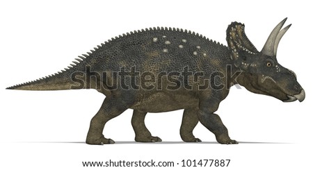 horned triceratops