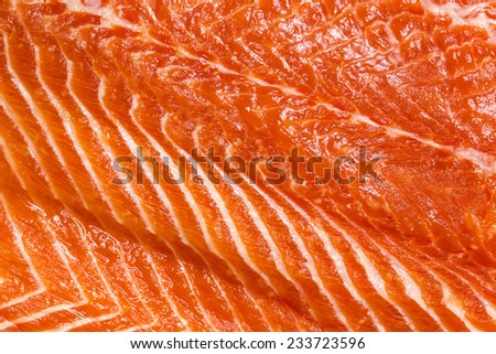 meat fish salmon